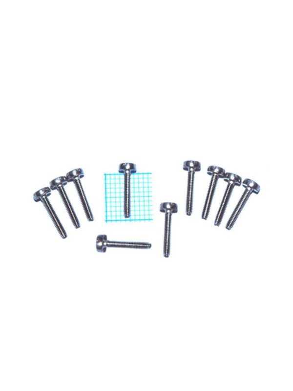 10 Plate screws for 10 holes harmonicas reedplates Seydel Home Seydel Spare parts $11.00