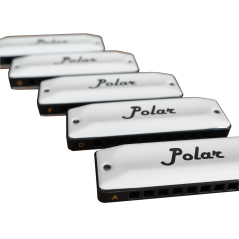 Harmo Polar pro pack set of 5 harmonica with gig bag and keychain harmonica
