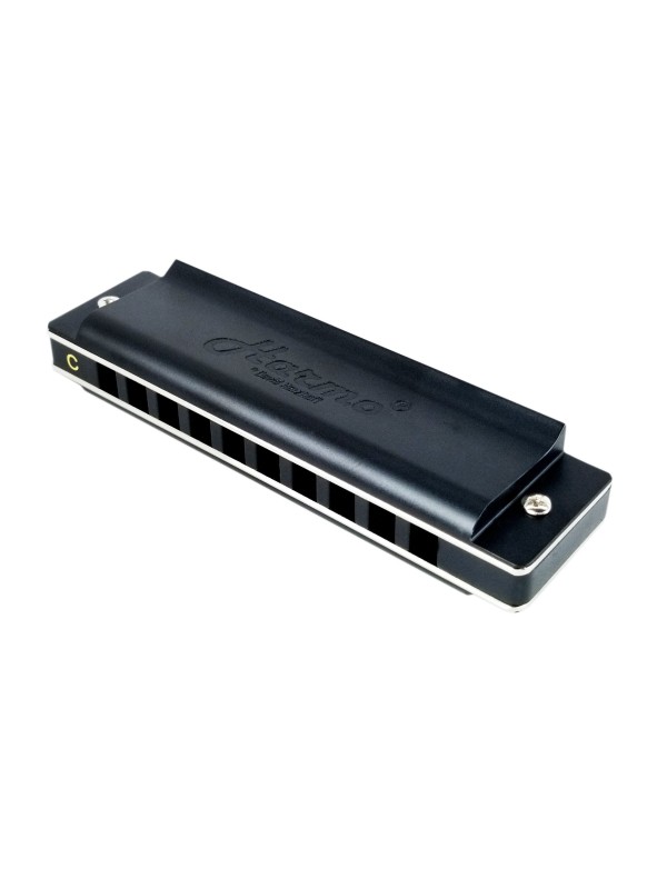 Custom Harmonica