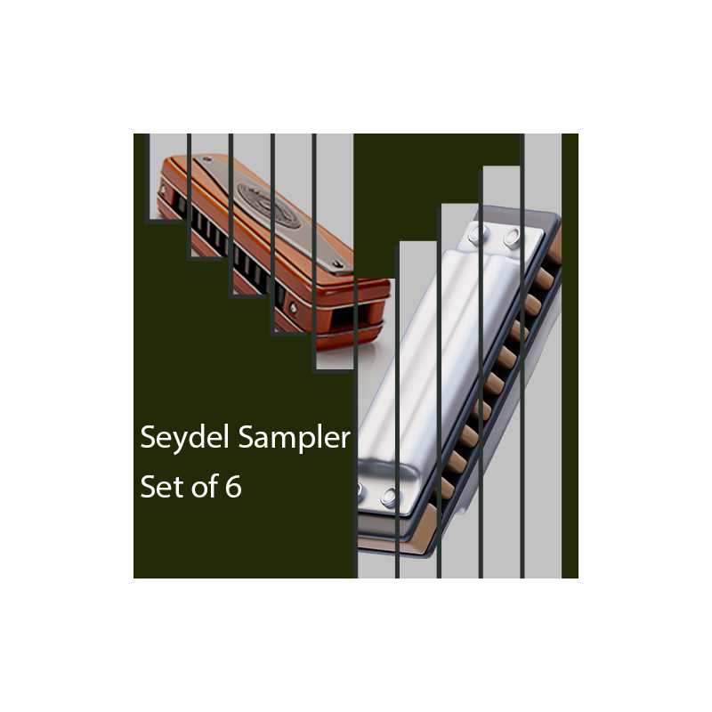 Seydel 1847 harmonica Classic - Silver - Noble - Lightning special bundle