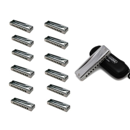 Suzuki Promaster 12 keys Set