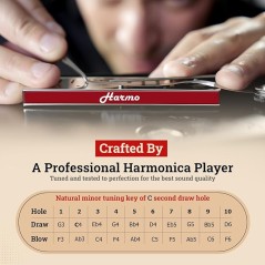Harmo Polar Natural minor harmonica