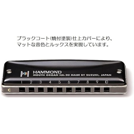 Suzuki Promaster Hammond Harmonica