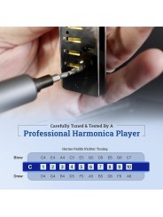 in stock paddy richter harmonica