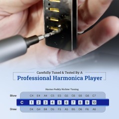 in stock paddy richter harmonica