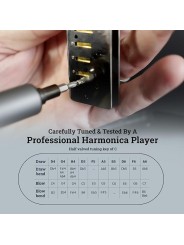 HARMO Harmo Polar Half valved harmonica Harmo diatonic harmonicas  $49.99
