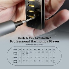HARMO Harmo Polar Half valved harmonica Harmo diatonic harmonicas  $49.99
