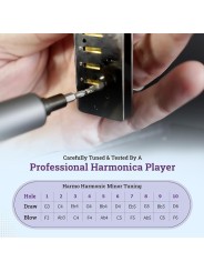 Harmo Polar harmonic minor tuning harmonica in all 12 keys designed in the us in stock