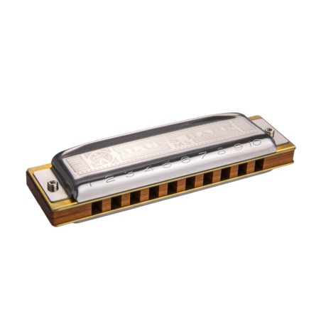 Blues Harp 7 keys C D E F G A Bb Set