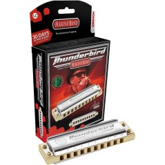 In stock thunderbird diatonic harmonica