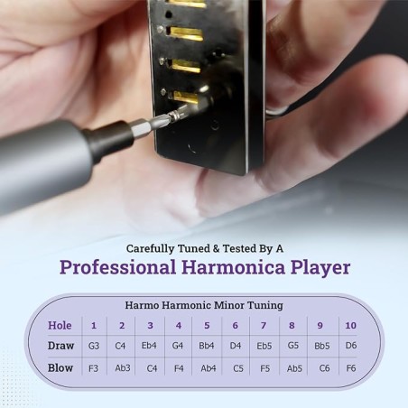 Polar Harmonic Minor tuning harmonica 12 key set