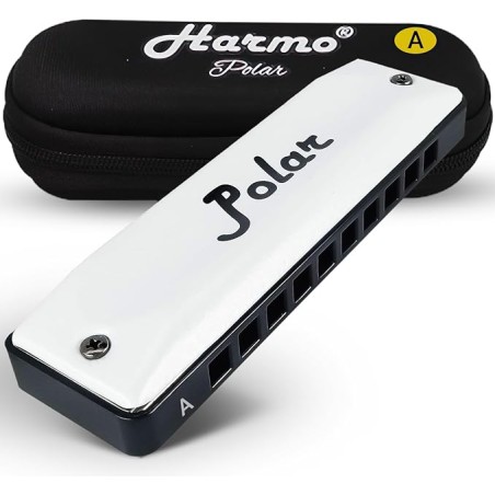 Beginners harmonica learning combo of 8