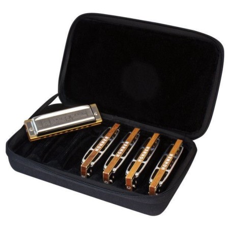 Hohner Blues Harp Case of 5 harmonicas