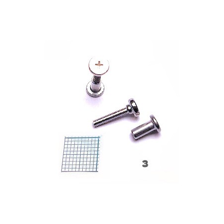 Seydel covers screws size 3 for Saxony, Chromatic De luxe, concerto, fanfare and Non slider