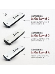 Harmo Polar pro pack set of 3 harmonica with gig bag and keychain harmonica