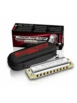 Thunderbird Hohner