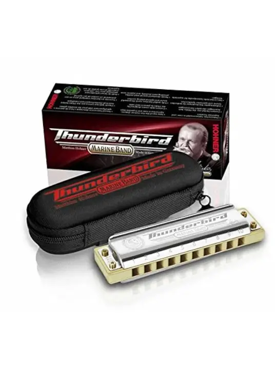 Thunderbird Hohner