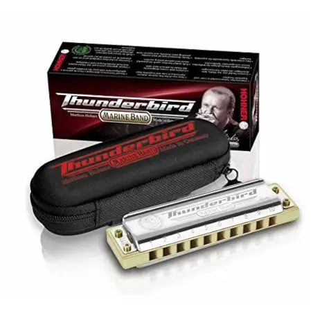 Thunderbird Hohner
