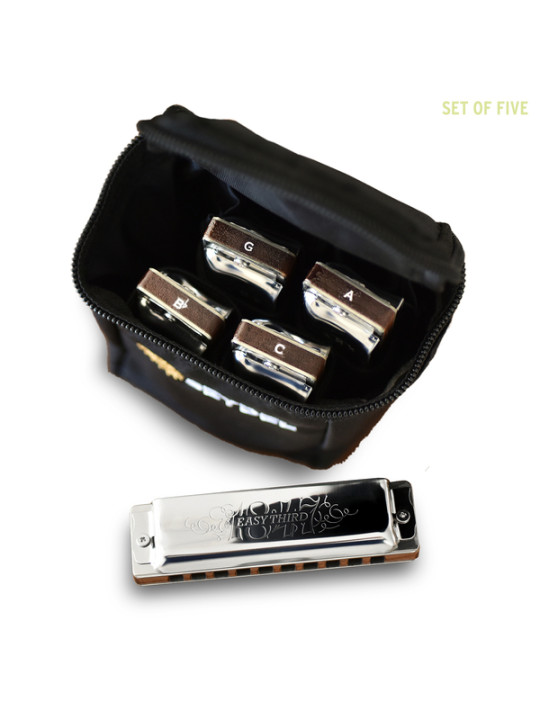 Seydel Blues Harmonica Set - 1847 CLASSIC EASY THIRD (Set of 5)