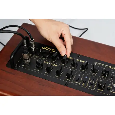 Joyo BSK-80 acoustic harmonica amplifier