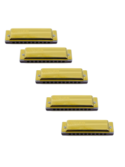 Harmo Rover 5 harmonica set