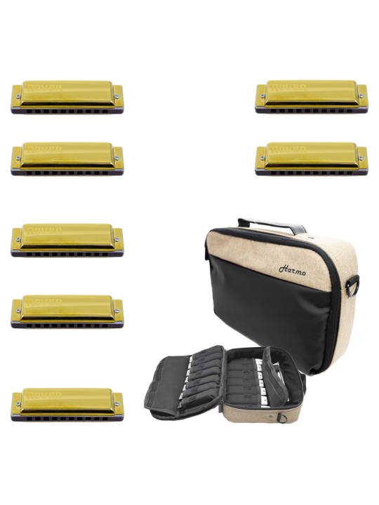 Harmo Rover 7 Diatonic harmonica set with Pro Case