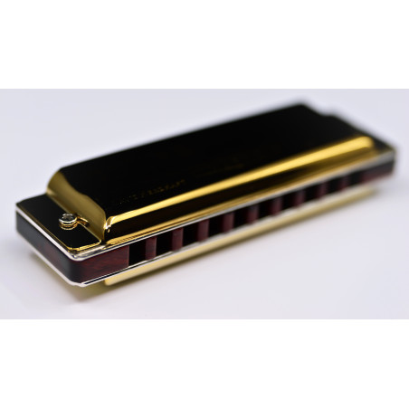 Harmo Rover 12 Diatonic harmonica set