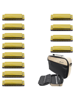 Harmo Rover 12 Diatonic harmonica set