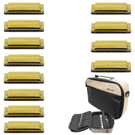 Harmo Rover 12 Diatonic harmonica set