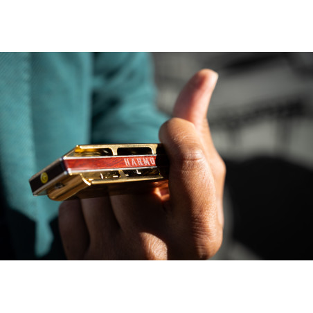 Harmo Rover 20 Diatonic harmonica set