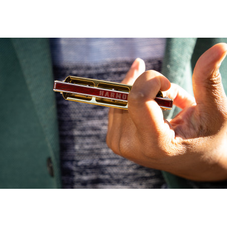 Harmo Rover 20 Diatonic harmonica set
