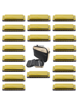 Harmo Rover 20 Diatonic harmonica set