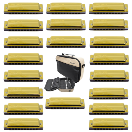 Harmo Rover 20 Diatonic harmonica set