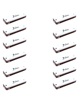 Harmo Polar Earth 12 harmonica Set. Tuned to 432hz for Meditation and Healing
