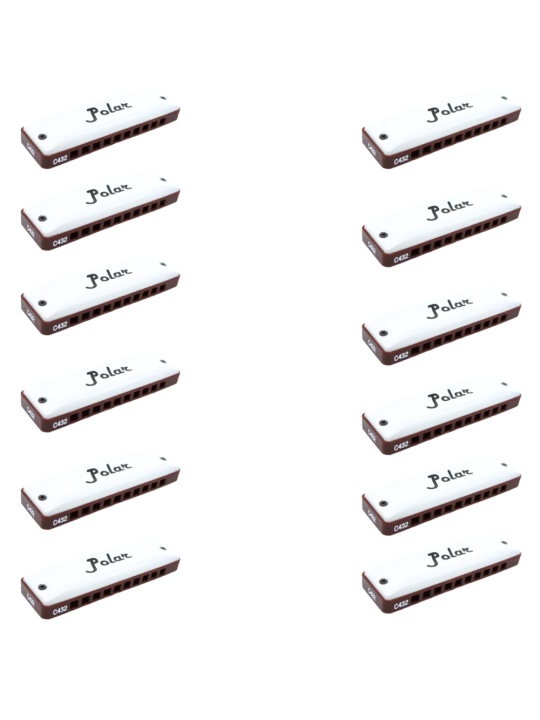 Harmo Polar Earth 12 harmonica Set. Tuned to 432hz for Meditation and Healing