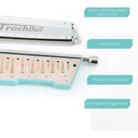 Trochilus Blues tuning