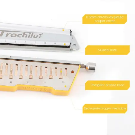 Trochilus solo tuning