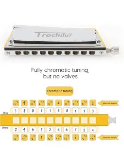 Trochilus solo tuning