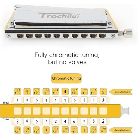 Trochilus solo tuning