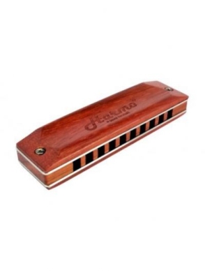 Which harmonica to buy?
