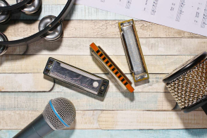Hohner Blues Harp vs. Marine Band 1896: Which Iconic Harmonica Should You Choose?