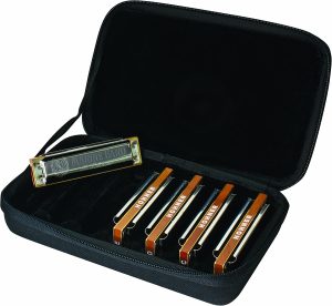 Hohner Marine band 1896 pack of 5 harmonicas and case