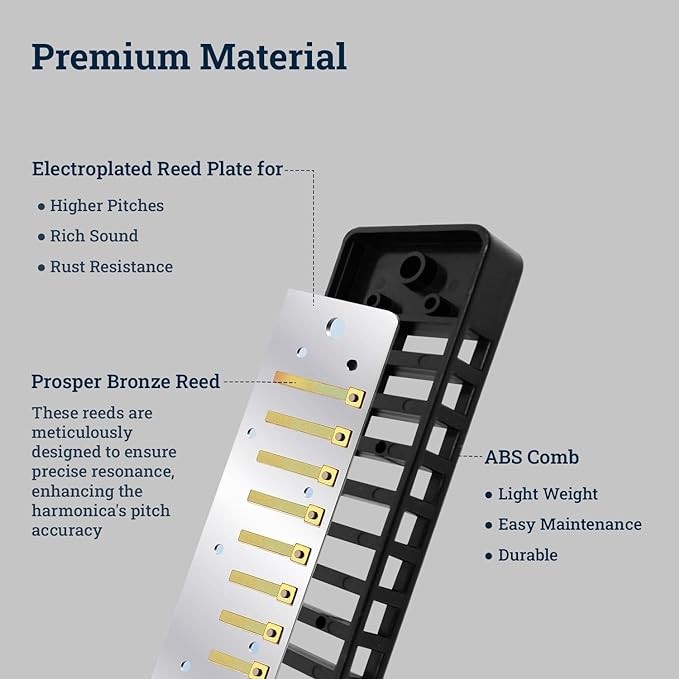 reedplates diatonic harmo harmonica