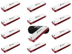 Polar Natural Minor 12 keys harmonica set