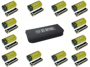 Seydel Solist Pro Set of 12 Harmonicas with a Softcase