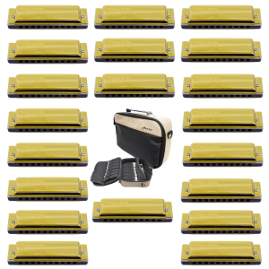 Harmo Rover 20 Diatonic harmonica set